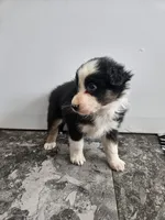 processed/5e152708-db98-4b69-a59a-25c29255b4a8/listing/66b7a73f-0335-4fc3-9af3-1e030a2794dc/2f3227d8-5335-4ab4-8044-6f4f05c4ea94