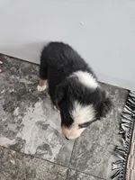 processed/5e152708-db98-4b69-a59a-25c29255b4a8/listing/66b7a73f-0335-4fc3-9af3-1e030a2794dc/74293a46-8aad-42d0-b410-dba267b01838