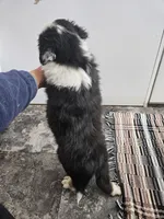 processed/5e152708-db98-4b69-a59a-25c29255b4a8/listing/bc346478-4b63-40d4-89b2-bf22d59db863/5b8b69c0-7277-4e4a-9a9f-2e559929a7b5