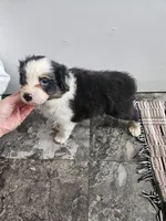 processed/5e152708-db98-4b69-a59a-25c29255b4a8/listing/bc346478-4b63-40d4-89b2-bf22d59db863/9851838b-a176-467d-a2e8-ae05ec17108b