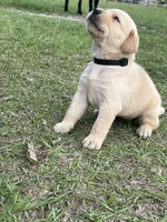 processed/5e2280e5-215f-4384-b244-401e237f97d5/facility/47126df3-a738-4753-b6a1-a1b1ebf201f5