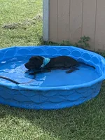 processed/5e2280e5-215f-4384-b244-401e237f97d5/facility/5e6ec0f1-961b-409d-aeff-e17a9de0c680