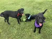 processed/5e2280e5-215f-4384-b244-401e237f97d5/facility/9116efdc-66ba-41a3-9c94-3d1288c8a1e3