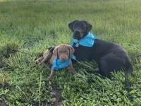 processed/5e2280e5-215f-4384-b244-401e237f97d5/facility/939ce9cc-ae93-4254-93e5-d1835c8b6c3f