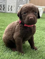 processed/5e2280e5-215f-4384-b244-401e237f97d5/facility/990300b1-8937-4bee-b979-70a9920528e2