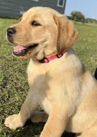 processed/5e2280e5-215f-4384-b244-401e237f97d5/facility/9a56be8a-0d97-4358-9866-195d08efdd96