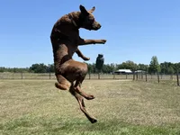 processed/5e2280e5-215f-4384-b244-401e237f97d5/facility/c4be4383-a1a0-43c4-aa11-c63723d0ca84