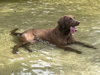 processed/5e2280e5-215f-4384-b244-401e237f97d5/facility/f19db8f8-aaea-46cb-969a-ff6a33a1a8c8