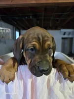 processed/5e2710ac-c9d0-4cde-8739-8376fdd60bd8/listing/16659793-3afe-4d62-adbb-414b20f0331c/504f1852-fc9a-4e2e-b3fc-f68c26f7d2df