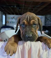 processed/5e2710ac-c9d0-4cde-8739-8376fdd60bd8/listing/16659793-3afe-4d62-adbb-414b20f0331c/5ea8e903-2b76-40eb-b9c5-9d12a3c4e53d