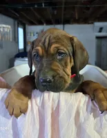 processed/5e2710ac-c9d0-4cde-8739-8376fdd60bd8/listing/16659793-3afe-4d62-adbb-414b20f0331c/64022b89-1d2c-406e-803c-2248bb38955a