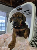 processed/5e2710ac-c9d0-4cde-8739-8376fdd60bd8/listing/16659793-3afe-4d62-adbb-414b20f0331c/8866841b-026e-4f09-8633-3705a57527f0