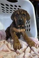 processed/5e2710ac-c9d0-4cde-8739-8376fdd60bd8/listing/16659793-3afe-4d62-adbb-414b20f0331c/b76b1256-8d5b-4f29-bccf-0cfcf0d114f4