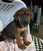 processed/5e2710ac-c9d0-4cde-8739-8376fdd60bd8/listing/16659793-3afe-4d62-adbb-414b20f0331c/d93f7c87-267b-4047-b327-7631b5301c7c