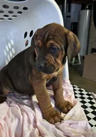 processed/5e2710ac-c9d0-4cde-8739-8376fdd60bd8/listing/16659793-3afe-4d62-adbb-414b20f0331c/fe124b8a-4b48-43b4-98d4-4e45b52fe10f