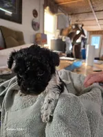 processed/5e2710ac-c9d0-4cde-8739-8376fdd60bd8/listing/4a1ebe0d-41a9-4ca2-9cb0-1091578ca1c4/1132db53-332f-4820-be6e-91ce1aa57d89