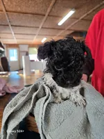 processed/5e2710ac-c9d0-4cde-8739-8376fdd60bd8/listing/4a1ebe0d-41a9-4ca2-9cb0-1091578ca1c4/4035ceab-b188-41a1-a328-2d99c28e6a08