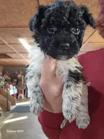 processed/5e2710ac-c9d0-4cde-8739-8376fdd60bd8/listing/4a1ebe0d-41a9-4ca2-9cb0-1091578ca1c4/52afa8c6-6c5b-4fa2-a90d-0c87262cc77b