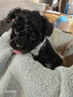 processed/5e2710ac-c9d0-4cde-8739-8376fdd60bd8/listing/4a1ebe0d-41a9-4ca2-9cb0-1091578ca1c4/811daf77-1e29-4fdd-93dc-fe842dbd06d8