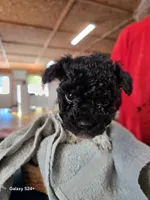 processed/5e2710ac-c9d0-4cde-8739-8376fdd60bd8/listing/4a1ebe0d-41a9-4ca2-9cb0-1091578ca1c4/99e0b012-802c-4ae8-8624-b3f5a72dc75c