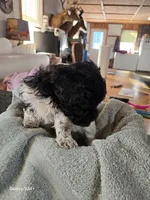 processed/5e2710ac-c9d0-4cde-8739-8376fdd60bd8/listing/4a1ebe0d-41a9-4ca2-9cb0-1091578ca1c4/ae3a5acb-ab22-4957-bde0-8e98d8aef5e1