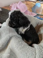 processed/5e2710ac-c9d0-4cde-8739-8376fdd60bd8/listing/4a1ebe0d-41a9-4ca2-9cb0-1091578ca1c4/b1bcb5d3-d0e9-4e95-8236-4f1c91e23ff1