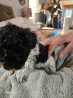 processed/5e2710ac-c9d0-4cde-8739-8376fdd60bd8/listing/4a1ebe0d-41a9-4ca2-9cb0-1091578ca1c4/e2a082bb-d024-4e4b-951b-3d8af8850b63