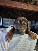 processed/5e2710ac-c9d0-4cde-8739-8376fdd60bd8/listing/6e18c441-4a16-4348-9489-b337595cfdee/5e692859-7c05-4c30-a5f7-eac659ba5d57