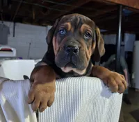 processed/5e2710ac-c9d0-4cde-8739-8376fdd60bd8/listing/6e18c441-4a16-4348-9489-b337595cfdee/7917d966-41ba-48a8-b360-f8290bff8758