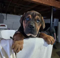 processed/5e2710ac-c9d0-4cde-8739-8376fdd60bd8/listing/6e18c441-4a16-4348-9489-b337595cfdee/7cd31044-d83b-40d7-ada3-03df4c1893f5