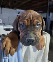 processed/5e2710ac-c9d0-4cde-8739-8376fdd60bd8/listing/6e18c441-4a16-4348-9489-b337595cfdee/99ef19e8-c3fa-4eec-b6c9-5301f5bdcc7a