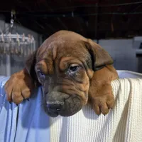 processed/5e2710ac-c9d0-4cde-8739-8376fdd60bd8/listing/6e18c441-4a16-4348-9489-b337595cfdee/cfbe12f7-fea0-45fe-867a-36bb41934734