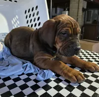 processed/5e2710ac-c9d0-4cde-8739-8376fdd60bd8/listing/6e18c441-4a16-4348-9489-b337595cfdee/deeb6726-d836-466d-b86f-342b60406e09