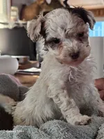 processed/5e2710ac-c9d0-4cde-8739-8376fdd60bd8/listing/74beaac8-5412-4f64-a88b-5647aee7d72d/12a8fa8f-c51b-43b0-aa88-acd99c473853