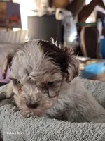 processed/5e2710ac-c9d0-4cde-8739-8376fdd60bd8/listing/74beaac8-5412-4f64-a88b-5647aee7d72d/1be4a3c8-8c95-4ad3-838a-c447a76c7068