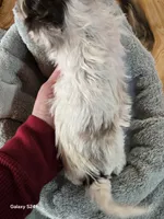 processed/5e2710ac-c9d0-4cde-8739-8376fdd60bd8/listing/74beaac8-5412-4f64-a88b-5647aee7d72d/210004eb-46e5-42c8-9108-06ad6ed980cb