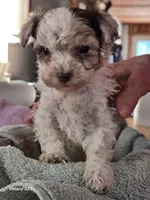 processed/5e2710ac-c9d0-4cde-8739-8376fdd60bd8/listing/74beaac8-5412-4f64-a88b-5647aee7d72d/7321fc41-9541-4582-8620-19c33bb1ef2d