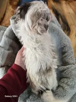 processed/5e2710ac-c9d0-4cde-8739-8376fdd60bd8/listing/74beaac8-5412-4f64-a88b-5647aee7d72d/a48f8abb-9715-47d8-b69f-2c167706c9c8