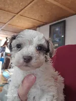 processed/5e2710ac-c9d0-4cde-8739-8376fdd60bd8/listing/74beaac8-5412-4f64-a88b-5647aee7d72d/d4b08f87-c8f6-45d0-9b49-89f96b27c410