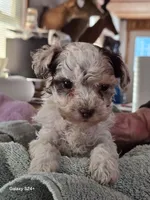 processed/5e2710ac-c9d0-4cde-8739-8376fdd60bd8/listing/74beaac8-5412-4f64-a88b-5647aee7d72d/e7970d8d-0003-4c80-855e-7c1705a5b1ca