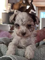 processed/5e2710ac-c9d0-4cde-8739-8376fdd60bd8/listing/74beaac8-5412-4f64-a88b-5647aee7d72d/f4385ed1-797e-49fc-b902-00696ce81cbf