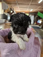 processed/5e2710ac-c9d0-4cde-8739-8376fdd60bd8/listing/bdd826d5-5079-4cad-972f-076d3b8caee2/4170cbfb-cc20-47b3-b4bd-cbb8b0b037b4