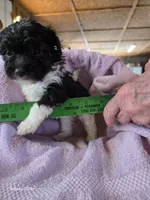 processed/5e2710ac-c9d0-4cde-8739-8376fdd60bd8/listing/bdd826d5-5079-4cad-972f-076d3b8caee2/53fb968c-f061-4f07-8d6e-c142fa99f28b