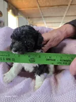 processed/5e2710ac-c9d0-4cde-8739-8376fdd60bd8/listing/bdd826d5-5079-4cad-972f-076d3b8caee2/6be2d667-dbad-4637-92c6-5b5dc4c1e429