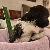 processed/5e2710ac-c9d0-4cde-8739-8376fdd60bd8/listing/bdd826d5-5079-4cad-972f-076d3b8caee2/81f06989-710d-43e3-bf0e-4a37b084a6cb