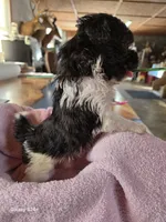 processed/5e2710ac-c9d0-4cde-8739-8376fdd60bd8/listing/bdd826d5-5079-4cad-972f-076d3b8caee2/87a872c9-a389-4058-882b-5858e576fe49