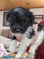 processed/5e2710ac-c9d0-4cde-8739-8376fdd60bd8/listing/bdd826d5-5079-4cad-972f-076d3b8caee2/e7112ed4-2579-4b0f-a53f-c9f83559d227