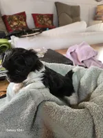 processed/5e2710ac-c9d0-4cde-8739-8376fdd60bd8/listing/c4d3484e-e652-4d61-bbd1-5a05c6cfabd2/04e4eb71-ff28-452e-be53-3933bb402eba