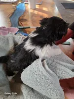 processed/5e2710ac-c9d0-4cde-8739-8376fdd60bd8/listing/c4d3484e-e652-4d61-bbd1-5a05c6cfabd2/0794ab7d-d981-4d37-84d5-57086bbcfc3e