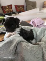 processed/5e2710ac-c9d0-4cde-8739-8376fdd60bd8/listing/c4d3484e-e652-4d61-bbd1-5a05c6cfabd2/47c76d68-1072-4318-8c0c-4369730d60a4